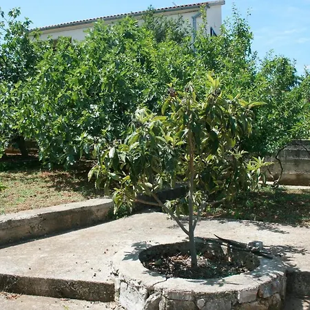 With A Parking Space Jezera, Murter - 5080 Apartment Jezera